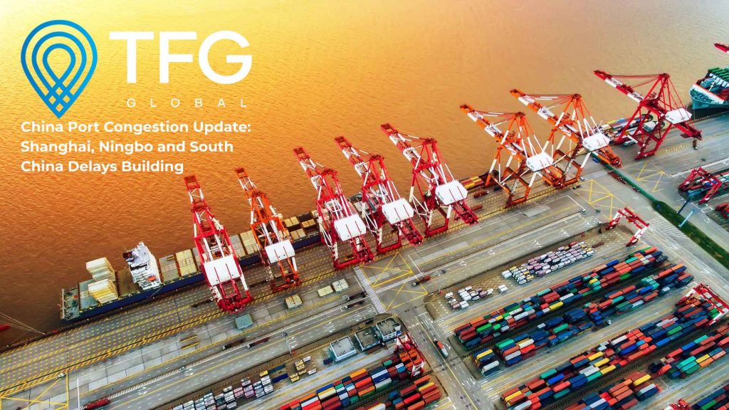 China Port Congestion Update Shanghai, Ningbo and South China Delays Building