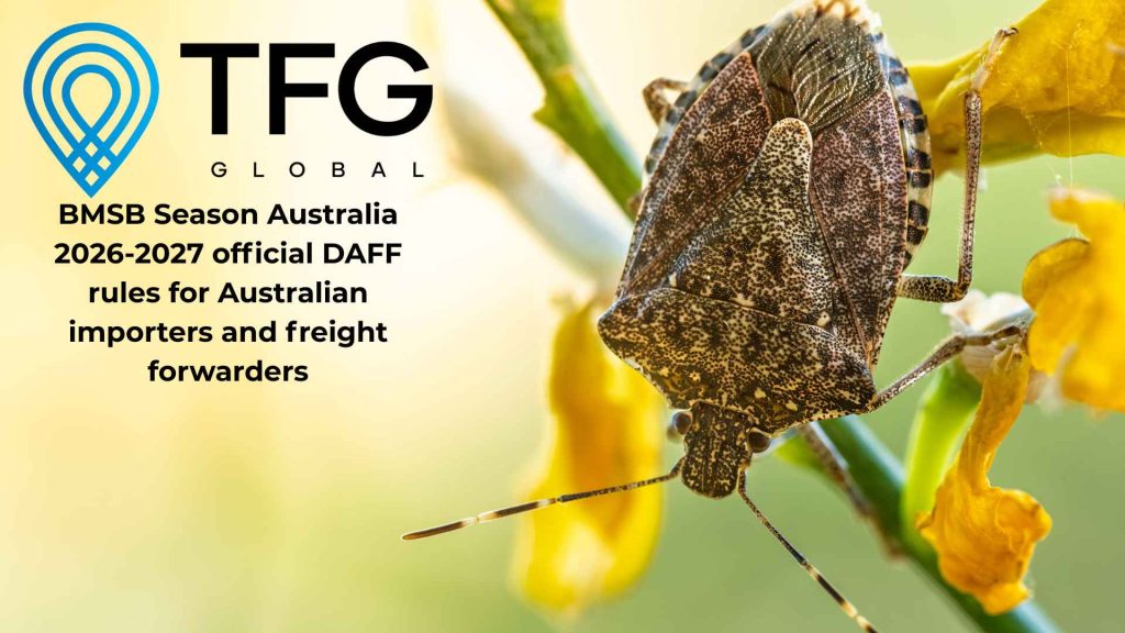 BMSB Season Australia 2026-2027 official DAFF rules for Australian importers and freight forwarders