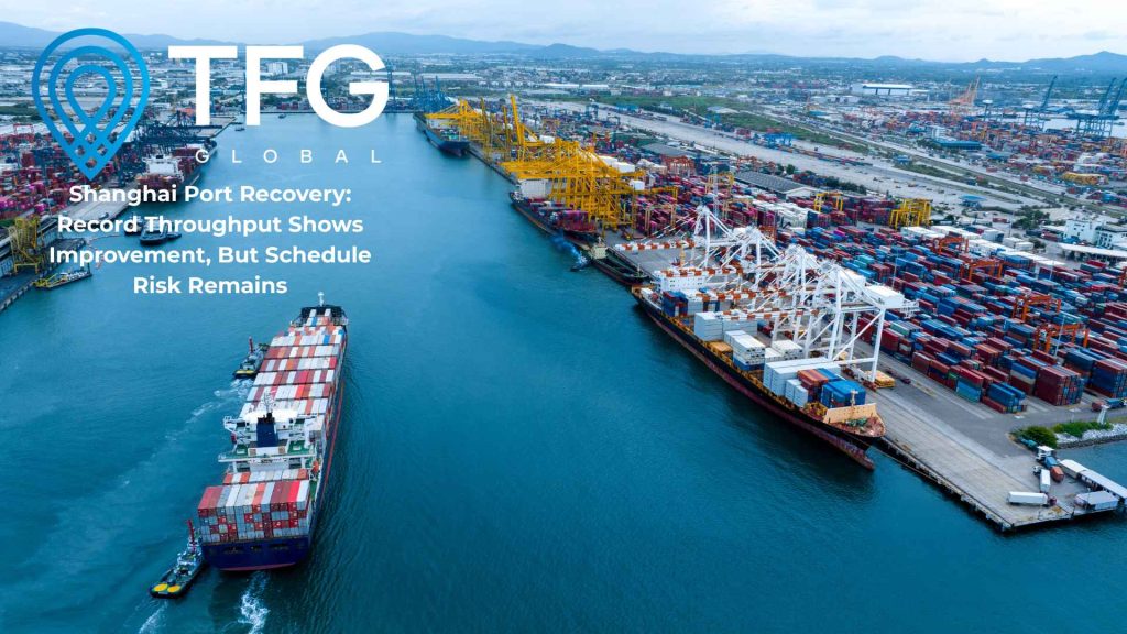 Shanghai Port recovery update covering record container throughput after Typhoon Bavi and ongoing schedule risk for Australian importers